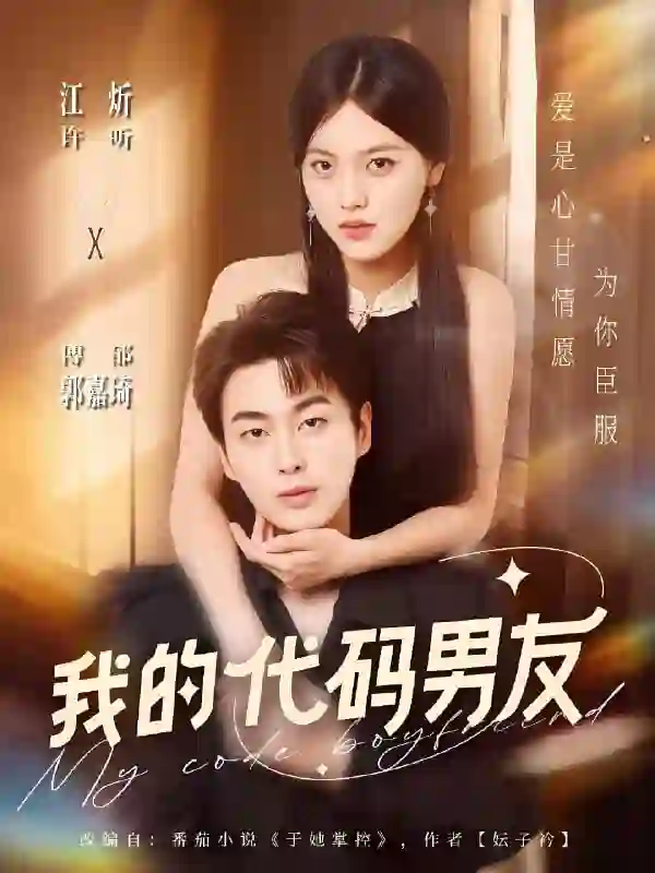 我的代码男友